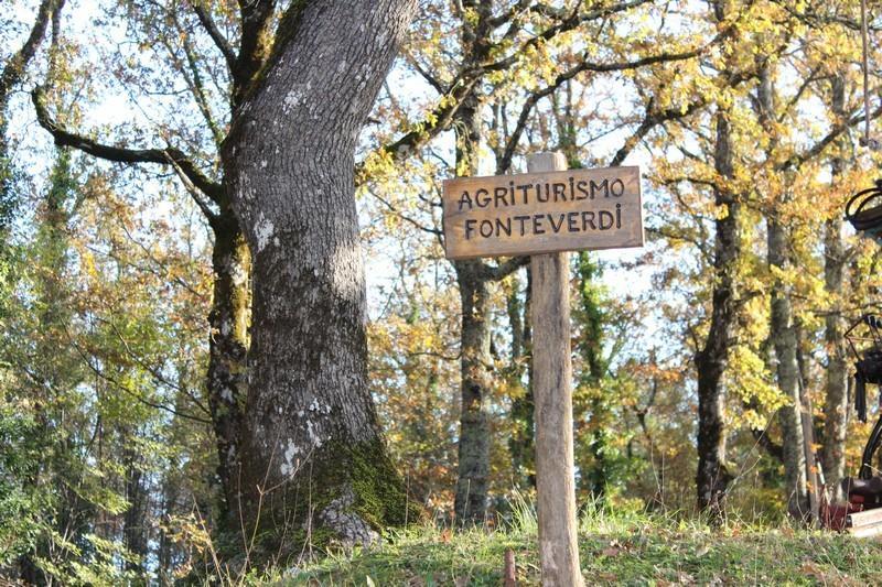 Willa Agriturismo Fonteverdi Boccheggiano Zewnętrze zdjęcie