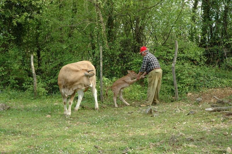 Willa Agriturismo Fonteverdi Boccheggiano Zewnętrze zdjęcie