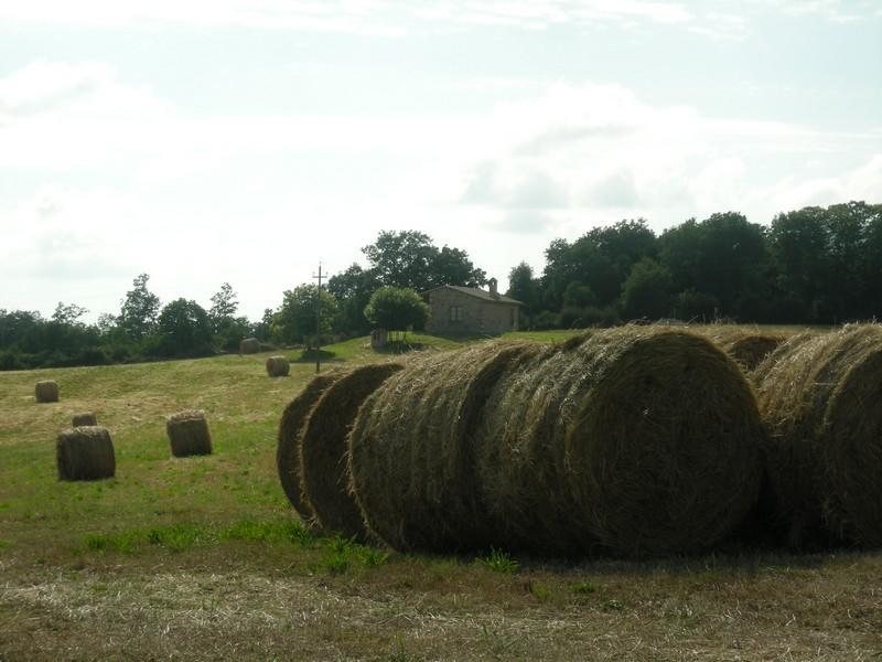 Willa Agriturismo Fonteverdi Boccheggiano Zewnętrze zdjęcie