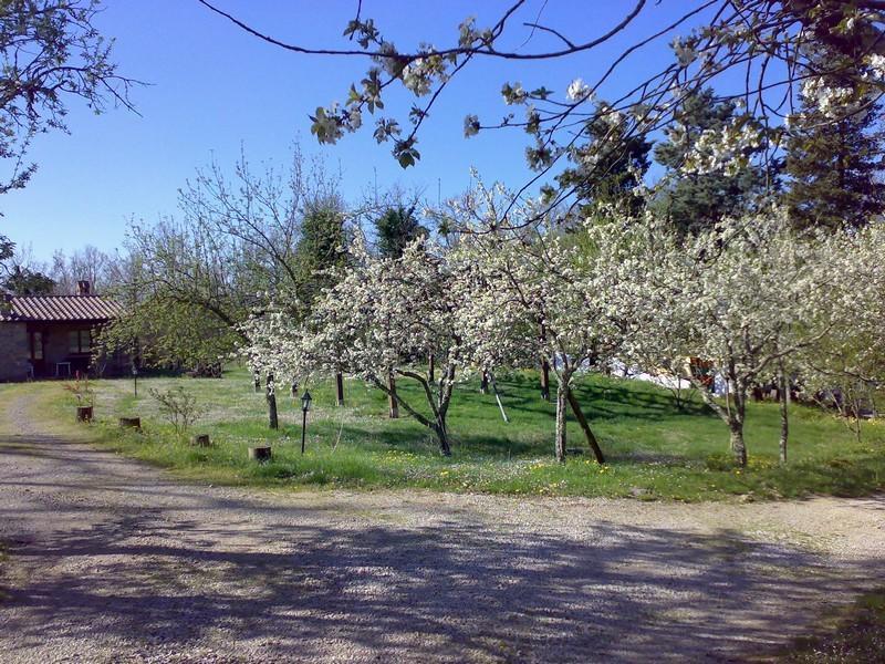 Willa Agriturismo Fonteverdi Boccheggiano Zewnętrze zdjęcie